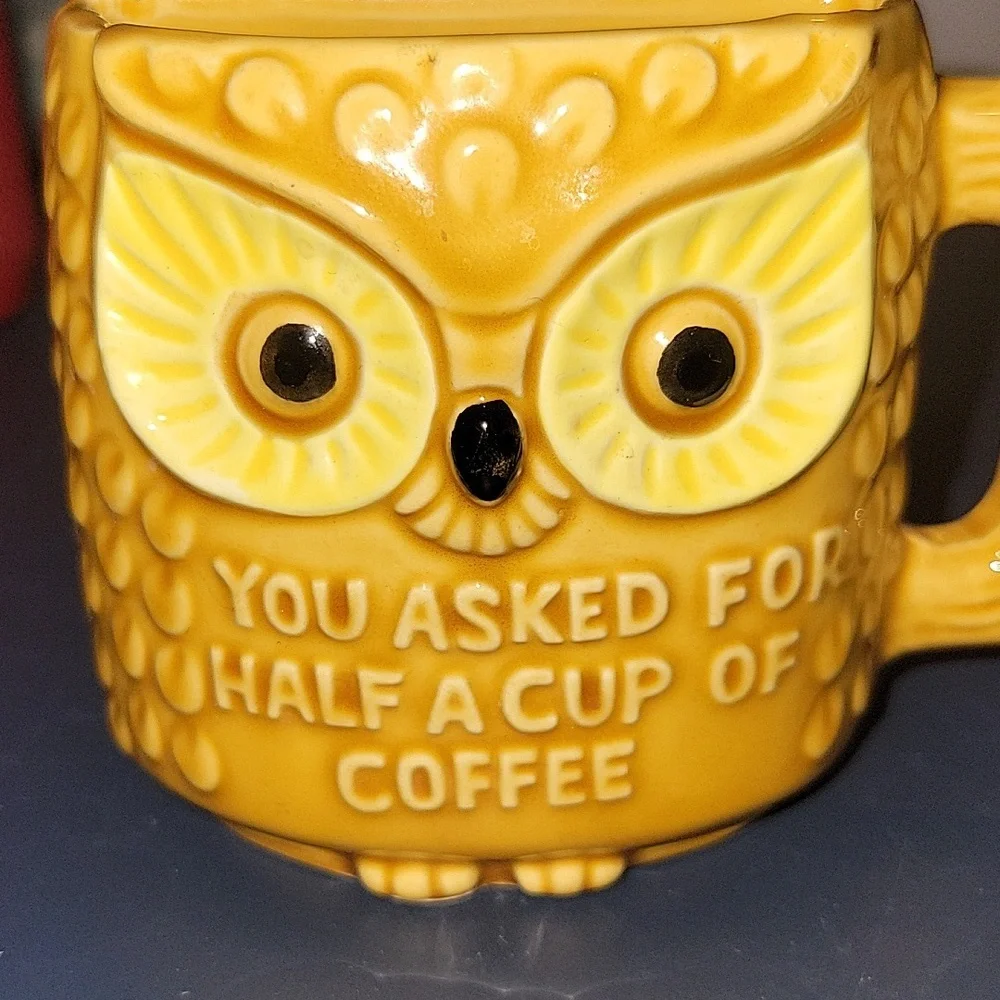 💋5/$25 Owl Funny 1/2 cup coffee mug